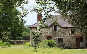David'S Organic Farm Wales